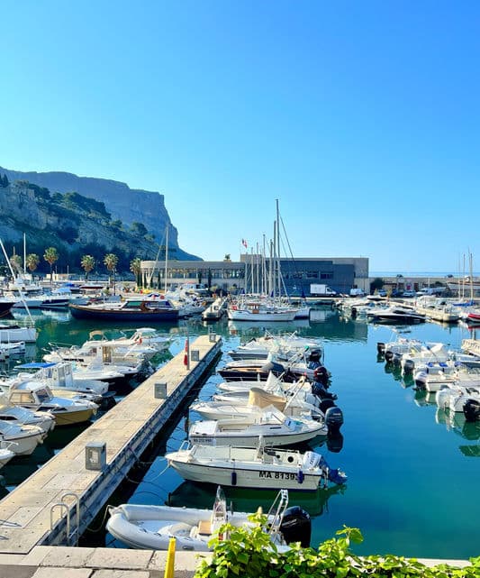 Le Palmyre